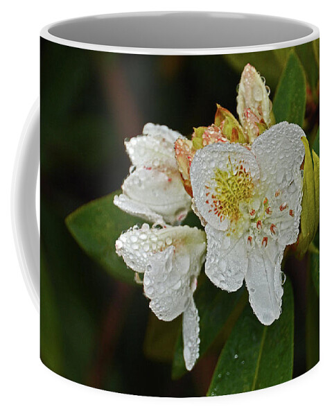 Raining Coffee Mug featuring the photograph Very Wet Flower by Deborah Bowie