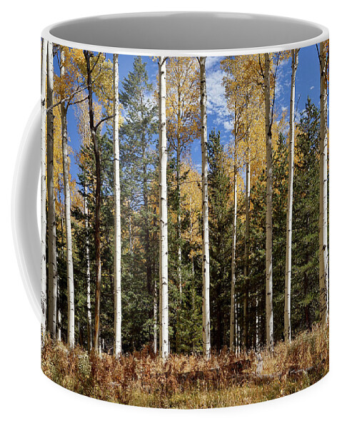 Aspen Trees Coffee Mug featuring the photograph Vibrancy of Autumn II by Leda Robertson