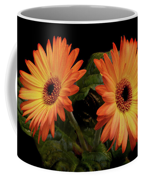 Gerbera Coffee Mug featuring the photograph Vibrant Gerbera Daisies by Terence Davis
