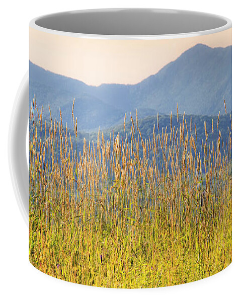 Summer Coffee Mug featuring the photograph View From The Tent by Alan L Graham