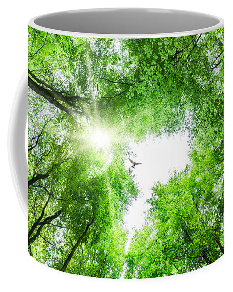 Tree Coffee Mug featuring the photograph View through tree canopy with bird soaring by Simon Bratt