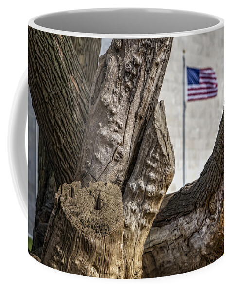 Washinton Monument Coffee Mug featuring the photograph View To The Washington Monument by Susan Candelario