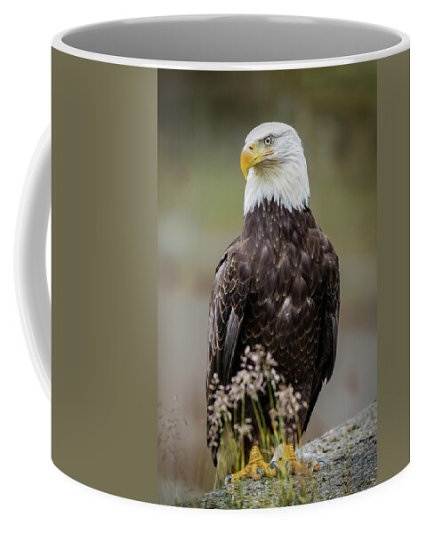 Birds Coffee Mug featuring the photograph Vigilance by Bruce Bonnett
