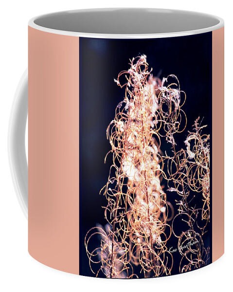 Vines Coffee Mug featuring the photograph Vine Circles and Light by Kae Cheatham