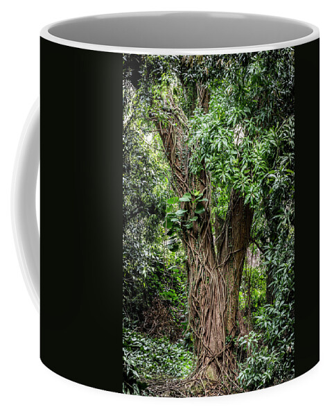 Vines Coffee Mug featuring the photograph Vines by Kelley King