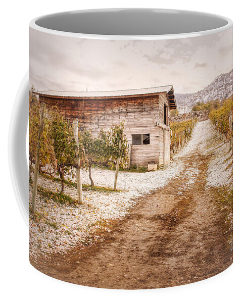Orchards Coffee Mug featuring the photograph Vineyard Store house by Wendy Elliott