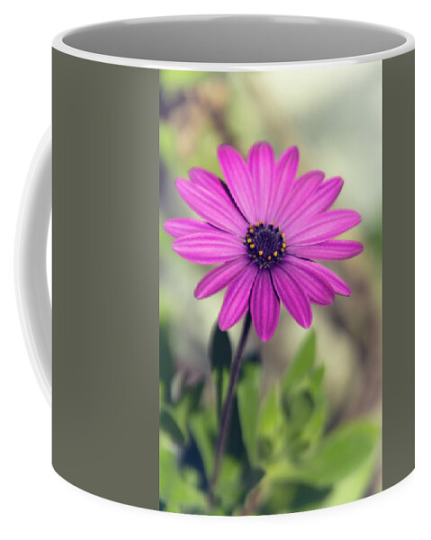 Purple Daisies Coffee Mug featuring the photograph Vintage Purple Daisy by Saija Lehtonen