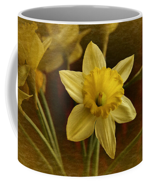 Yellow Narcissus Coffee Mug featuring the photograph Vintage Yellow Narcissus by Richard Cummings
