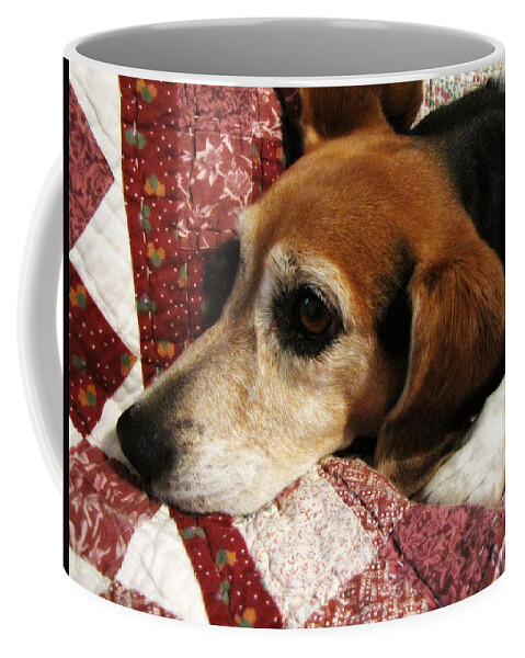 Violet Coffee Mug featuring the photograph Violet by Beth Vincent