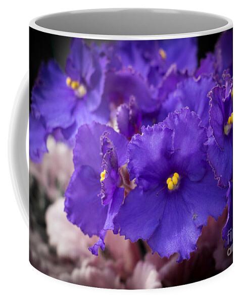 Violet Modesty Coffee Mug by Sally E Wright - Fine Art America