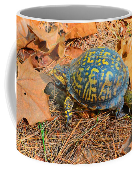 Eastern Box Coffee Mug featuring the photograph Visitor in the Woods by Stacie Siemsen