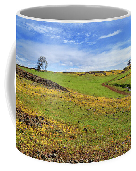 Volcanic Coffee Mug featuring the photograph Volcanic Spring by James Eddy