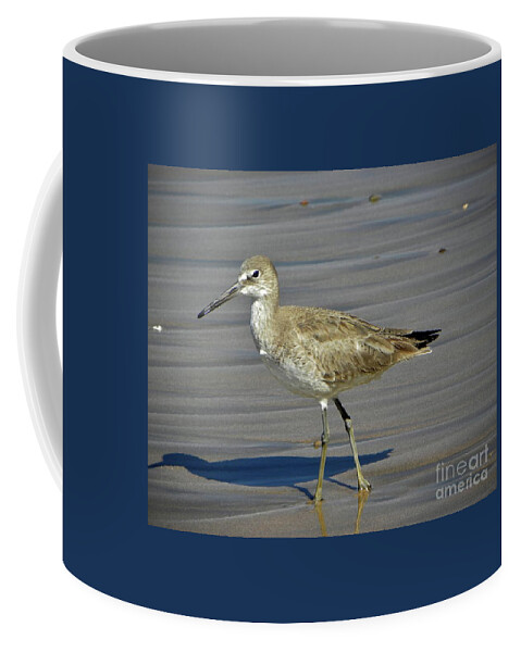 Bird Coffee Mug featuring the photograph Wading Day by Sheila Ping