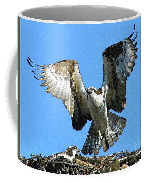 Osprey Coffee Mug featuring the photograph Waiting For Mom by Vivian Martin
