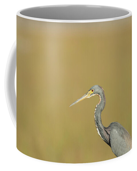 Everglades National Park Coffee Mug featuring the photograph Waiting by Frank Madia
