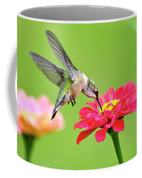 Hummingbird Coffee Mug featuring the photograph Hummingbird Waiting in the Wings by Christina Rollo