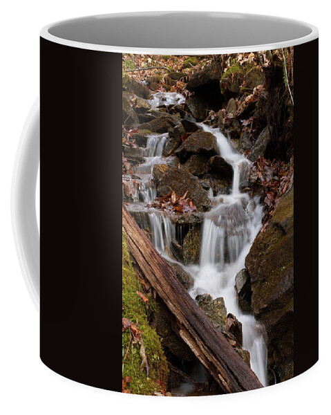Cascade Coffee Mug featuring the photograph Walden Creek Cascade by Paul Rebmann