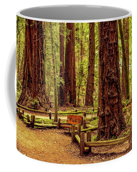 Mountains Coffee Mug featuring the photograph Walk among giants by Claudia M Photography