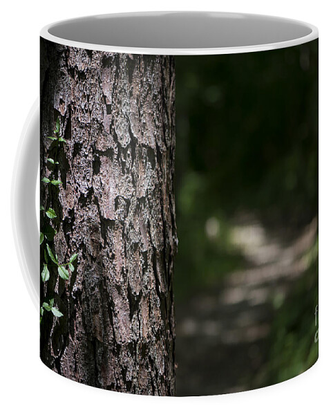 Tree Coffee Mug featuring the photograph Walk in the Woods by Andrea Silies