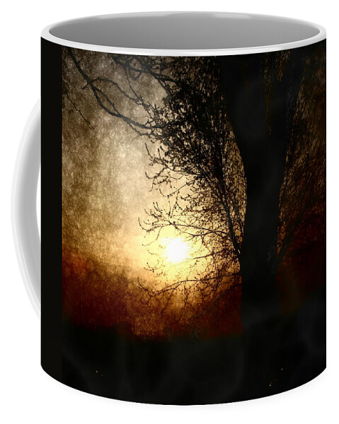 Landscape Coffee Mug featuring the photograph Walk Quietly Into the Night with Me. by Julie Lueders 