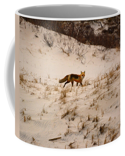 Walking Red Fox Coffee Mug featuring the photograph Walking Fox by Raymond Salani III