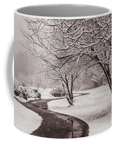 Appalachia Coffee Mug featuring the photograph Walking In a Winter Wonderland by Debra and Dave Vanderlaan