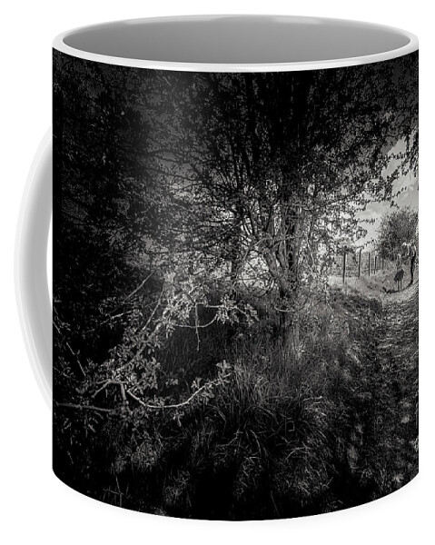 D90 Coffee Mug featuring the photograph Walking in Riddlesden by Mariusz Talarek