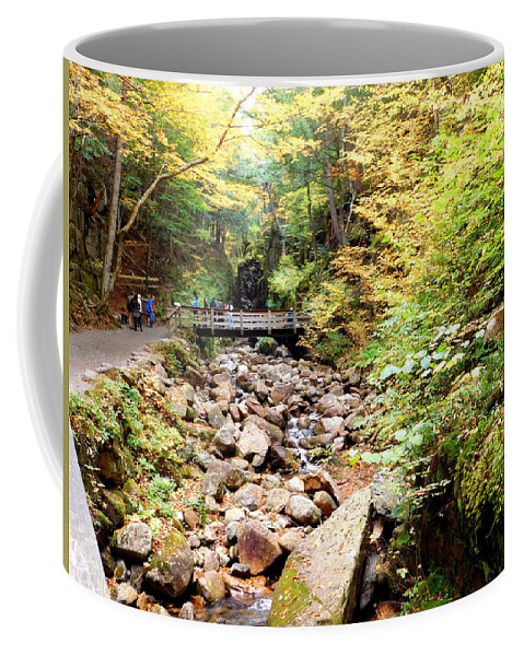 Lincoln Coffee Mug featuring the photograph Walking the Flume by Catherine Gagne