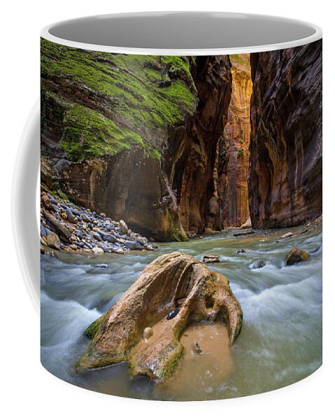 Zion Coffee Mug featuring the photograph Wall Street of the Narrows by Wesley Aston