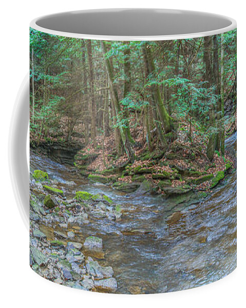 Wandering Stream Coffee Mug featuring the photograph Wandering Stream by Randy Steele