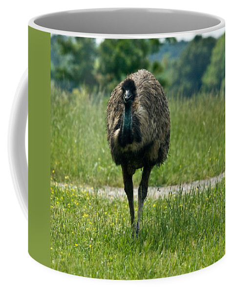 Wandering Coffee Mug featuring the photograph Wanding Ostrich by Douglas Barnett