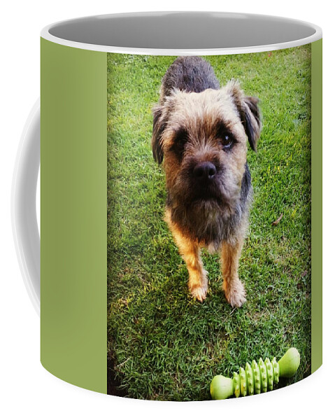 Dog Coffee Mug featuring the photograph Wanna Play by Rowena Tutty