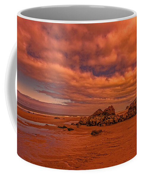 Anemone Coffee Mug featuring the photograph Warm Light on Lincoln City Seaside by Brenda Jacobs