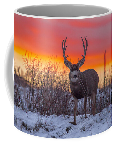 Wildlife Coffee Mug featuring the photograph Warm sky cold morning by Jeff Shumaker