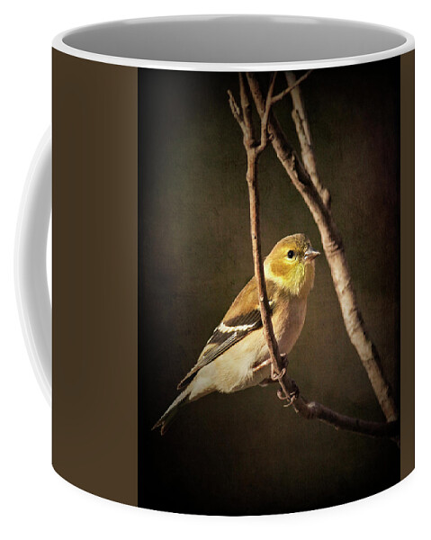 Golden Coffee Mug featuring the photograph Warmth in the Light by Richard Macquade
