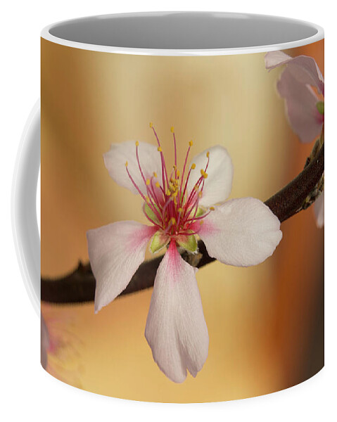 Cherry Coffee Mug featuring the photograph Warmth of hope. by Elena Perelman