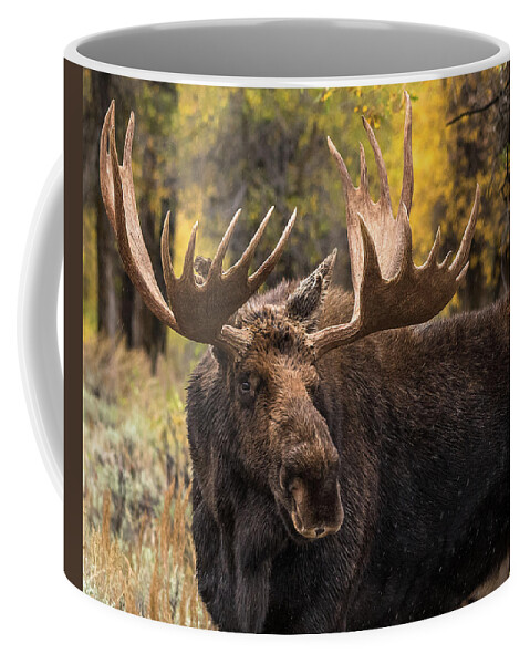 Bull Moose Coffee Mug featuring the photograph Washakie In The Autumn Beauty by Yeates Photography