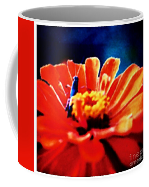 Orange Coffee Mug featuring the photograph Washed up GrassHopper by Debra Lynch