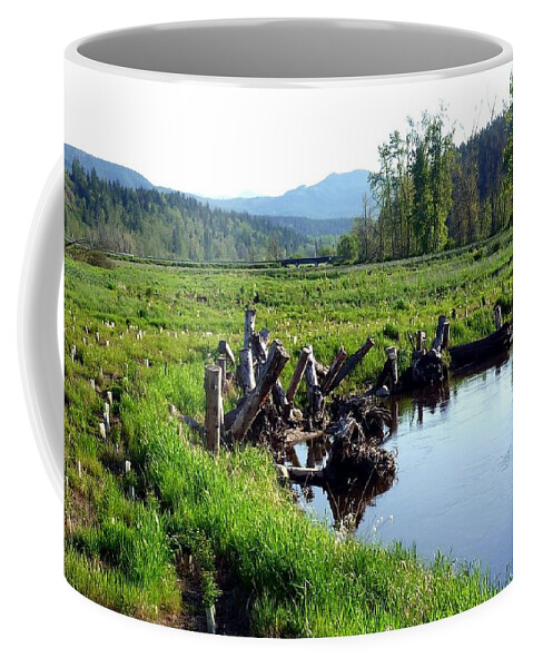 Green Coffee Mug featuring the photograph Washington State Scenic Lake by A L Sadie Reneau