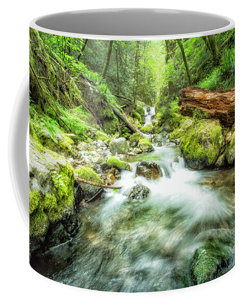  Washington Coffee Mug featuring the photograph Washington Stream by Timothy Hacker