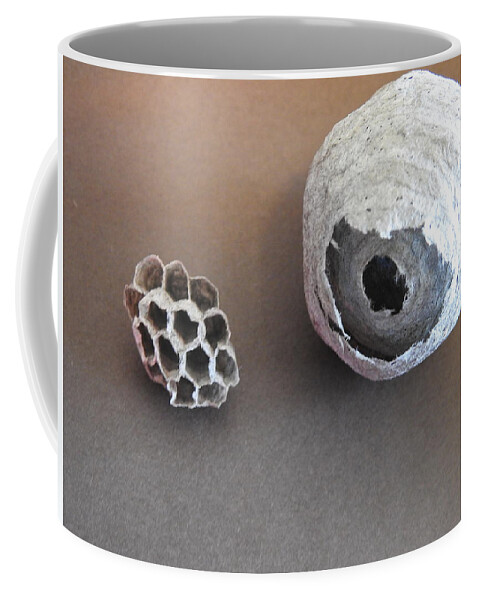 Nests Coffee Mug featuring the photograph Wasp and Hornets Nests by Betty-Anne McDonald