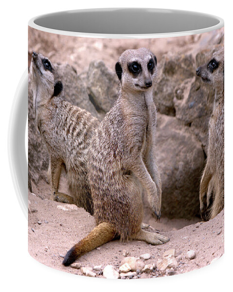 Animal Coffee Mug featuring the photograph Watchers by Baggieoldboy