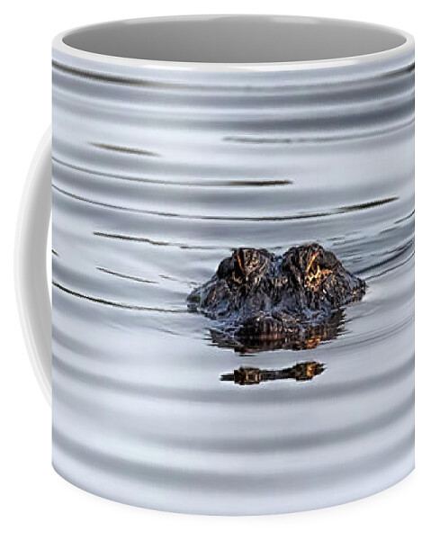 Alligator Coffee Mug featuring the photograph Watching You by Susan Rissi Tregoning