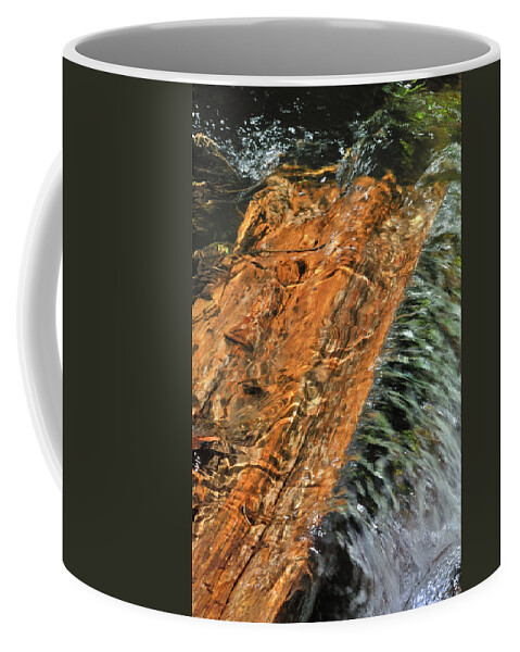 Nature Coffee Mug featuring the photograph Water And Wood by Ron Cline