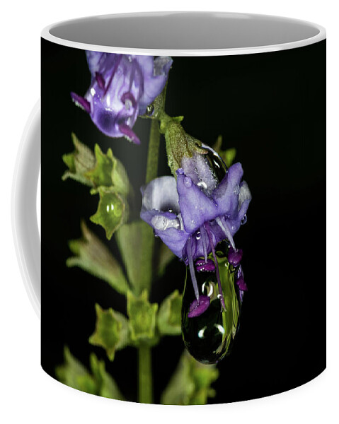 Jay Stockhaus Coffee Mug featuring the photograph Water Drop by Jay Stockhaus