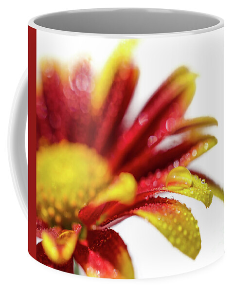 Mum Coffee Mug featuring the photograph Water Droplets On Mum Petals Nature / Botanical / Floral Photograph by PIPA Fine Art - Simply Solid