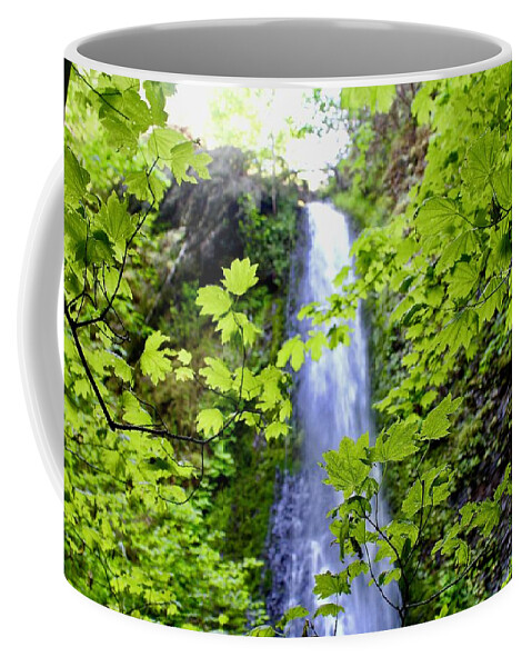 Waterfall Coffee Mug featuring the photograph Water Fall In The Trees by Brian Eberly