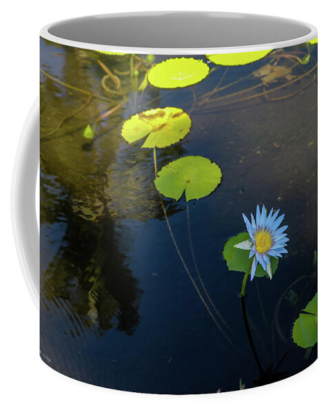 Water Lily Coffee Mug featuring the photograph Water Lily by Aashish Vaidya