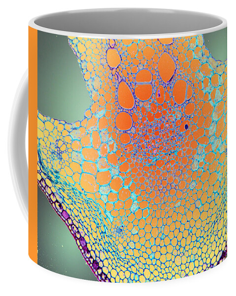 Microscopic Abstract Coffee Mug featuring the photograph Water Lily Homage by Rein Nomm
