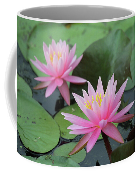 Water Lily Coffee Mug featuring the photograph Water Lily by Jackson Pearson